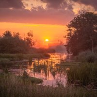 **** :: Елизавета .