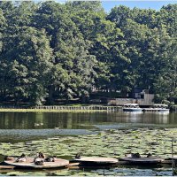 Лето. :: Валерия Комова Лето. :: Валерия Комова