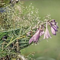 Кран букет :: sorovey Sol