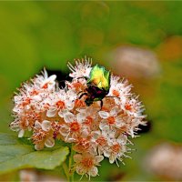 ЛЕТО :: Юрий Владимирович 34 ЛЕТО :: Юрий Владимирович 34