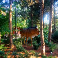 Отдых на донской земле (12)... :: Тамара (st.tamara)