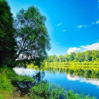 *** :: Игорь Чичиль