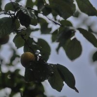 На фоне неба :: Юрий Гайворонскiий