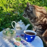 Кто то идёт ко мне на чай! :: Нина Андронова