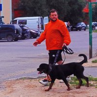 Июль...Утро собаковода! :: Владимир 