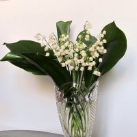 Мимоходом... :: Роман Савоцкий