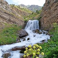 ВОДОПАДЫ. :: Виктор Осипчук