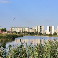 Летний вечер. :: Ольга Летний вечер. :: Ольга