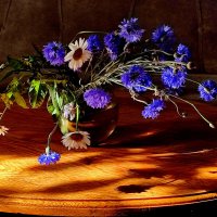 Ранний лучик :: Валентина Богатко Ранний лучик :: Валентина Богатко