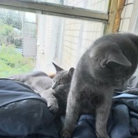 \\\\ :: Галина Флора \\\\ :: Галина Флора