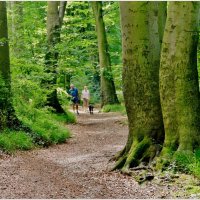 НА ПРОГУЛКЕ... :: Elvira E. НА ПРОГУЛКЕ... :: Elvira E.