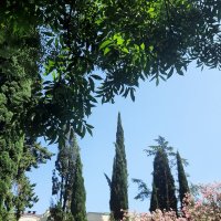 СОЧИ СЕГОДНЯ :: Tata Wolf