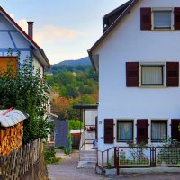 Из серии " Утро в деревне" :: Юрий. Шмаков