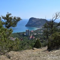 Природа Крыма :: Amazing Cosmea