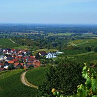 Baden-Baden :: Галина 