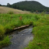 * :: Наталья Покацкая * :: Наталья Покацкая