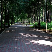 *** :: Александр 