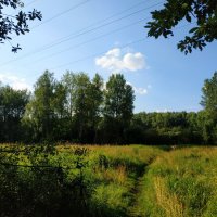 Июль уходит :: Андрей Лукьянов