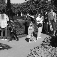 .... :: Юрий Самсонов