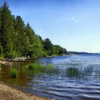 Карелия.... :: Ольга Cоломатина