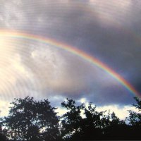 После грозы :: Людмила Смородинская