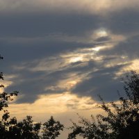 краски заката :: Елена Шаламова краски заката :: Елена Шаламова