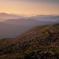 * :: Александр Иванов