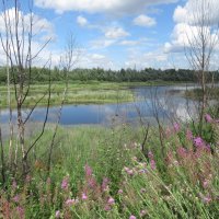 Озеро :: Андрей Макурин Озеро :: Андрей Макурин