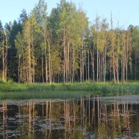 Царь Горы :: Владимир Соколов (svladmir)