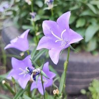 ,,, :: Сергей Тимоновский