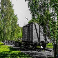 Паровоз военных лет :: Юлия Денискина