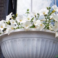 А в городе лето... :: Андрей Заломленков