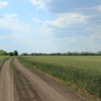 Мои дороги. :: Виктор 