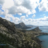 Природа Крыма :: Amazing Cosmea