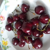 люблю черешенку ... :: Галина Флора люблю черешенку ... :: Галина Флора