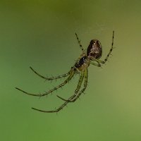 Versuchen Sie, auf Russisch zu schreiben. Vielleicht haben Sie es vergessen??? :: Андрей Пристяжнюк