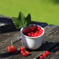 Красная смородинка :) :: Татьян@ Ивановна Красная смородинка :) :: Татьян@ Ивановна