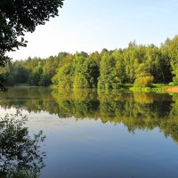 Тихое летнее утро :: Андрей Снегерёв Тихое летнее утро :: Андрей Снегерёв