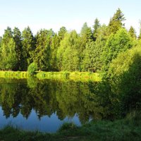 Прохлада летнего утра :: Андрей Снегерёв Прохлада летнего утра :: Андрей Снегерёв