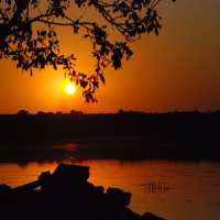 Летний закат :: Анна Камс Летний закат :: Анна Камс