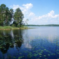 Вуокса :: zavitok *