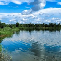 Лето в июле (репортаж из поездок по области). :: Милешкин Владимир Алексеевич Лето в июле (репортаж из поездок по области). :: Милешкин Владимир Алексеевич