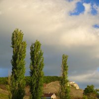 Чумакары :: Всеволод Чумакары :: Всеволод