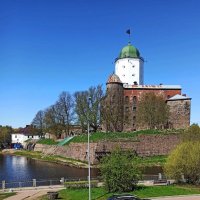 Выборг. Замковый остров :: Ольга Довженко