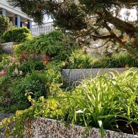 цветущий сад у Библиотеки Ленина :: Галина R...