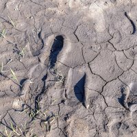 Арт объект :: Валерий Иванович