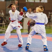 Карате :: SanSan 