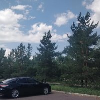 Сосновый парк... :: Андрей Хлопонин