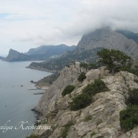Природа Крыма :: Amazing Cosmea