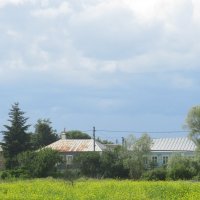 за городом :: Елена Шаламова